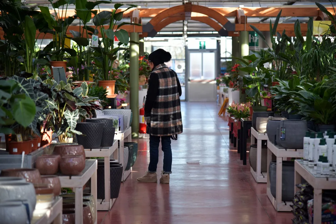 Woman browsing plants in a well-lit garden center filled with vibrant greenery. Photo by Serena Koi on Pexels