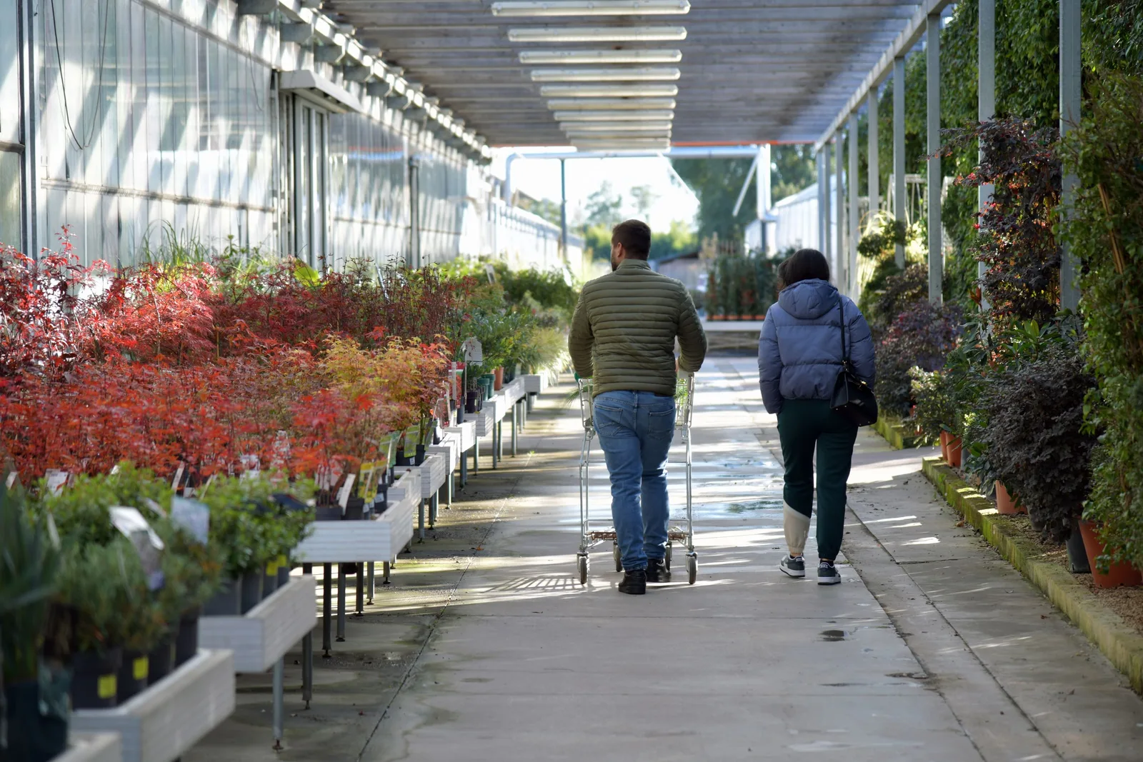 A couple explores vibrant plants in a garden center on a sunny day. Photo by Serena Koi on Pexels