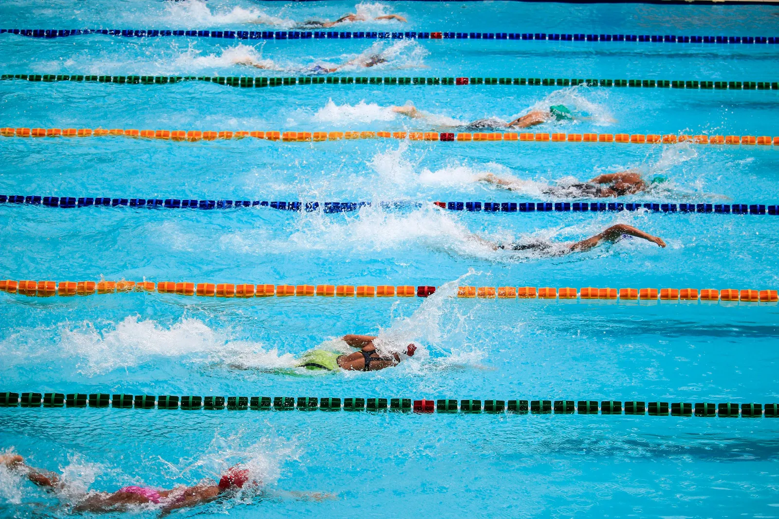 Swimmers compete in an outdoor pool race, showcasing athleticism and sportsmanship. Photo by Jim De Ramos on Pexels