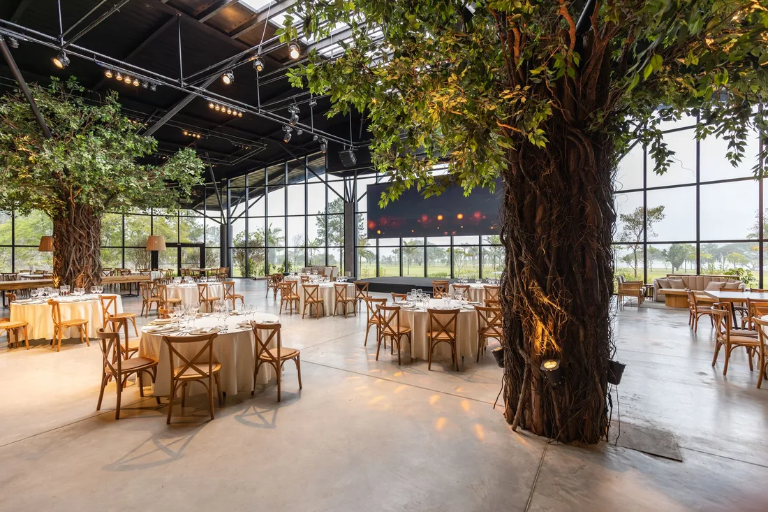 Spacious indoor restaurant with tree-themed decor and arranged tables under natural lighting. Photo by Matheus Bertelli on Pexels